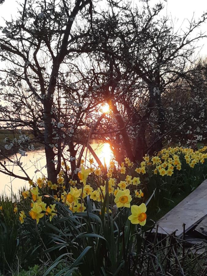Iris'T; Dijkhuisje In De Polders Van Groede. Villa Exterior foto